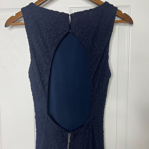 Alice + Olivia Blue Sleeveless Textured Floral Full Length Maxi Dress Size 4 - Picture 5 of 16